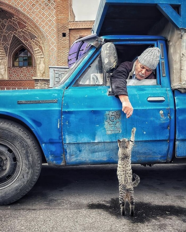 Deretan Foto yang Dijepret di Waktu yang Tepat, Jadi Menarik Banget Deretan foto ini menarik banget, karena diambil di waktu yang tepat. Nggak percaya? Silahkan lihat sendiri nih.
