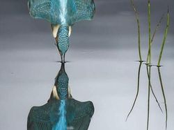 Deretan Foto yang Dijepret di Waktu yang Tepat, Menarik Banget