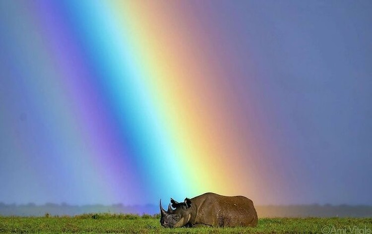 Deretan foto ini menarik banget, karena diambil di waktu yang tepat. Nggak percaya? Silahkan lihat sendiri nih.