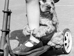 Deretan Foto yang Dijepret di Waktu yang Tepat, Menarik Banget