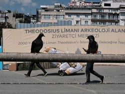 Deretan Foto yang Dijepret di Waktu yang Tepat, Menarik Banget