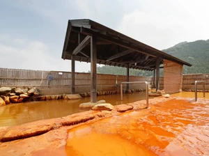 Di Sini Bisa Berendam Air Panas Sambil Cicip 99 Jenis Kecap Jepang