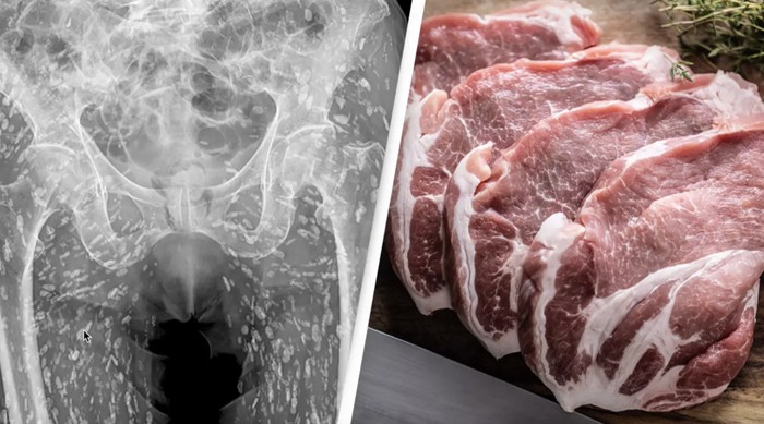 Dokter Ini Ungkap Kondisi Tubuh Orang yang Doyan Daging Babi Mentah