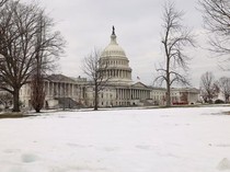 Mengenal Gedung Capitol, Gedung Bersejarah Tempat Pelantikan Trump
