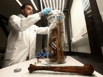 Ilmuwan Belgia Botolkan Bau Tulang untuk Melatih Anjing Pelacak