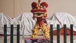 Intip Latihan Barongsai Jelang Imlek di Samarinda