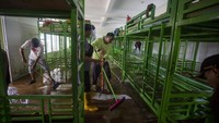 Data Pemkab Cirebon menyebutkan 2.430 jiwa terdampak banjir jebolnya tanggul tersebut. 