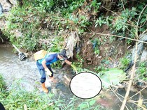 Warga Rejang Lebong Temukan Mayat Wanita Lansia di Aliran Sungai