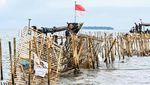 Potret Pagar Misterius di Laut Tangerang Akhirnya Dibongkar