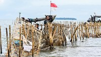 Sebanyak 600 personel TNI AL dan para nelayan Tanjung Pasir membongkar pagar laut tanpa izin tersebut.  