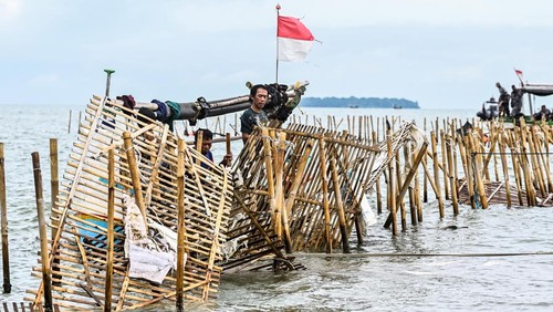 Sejumlah nelayan membongkar pagar laut yang terpasang di kawasan pesisir Tanjung Pasir, Kabupaten Tangerang, Banten, Sabtu (18/1/2025). Sebanyak 600 personel TNI AL dan para nelayan Tanjung Pasir membongkar pagar laut tanpa izin dengan target penyelesaian selama 10 hari dengan jarak sepanjang 30,16 km. ANTARA FOTO/Rivan Awal Lingga/YU