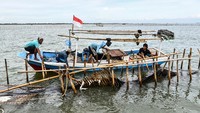 Sejumlah nelayan membongkar pagar laut yang terpasang di kawasan pesisir Tanjung Pasir, Kabupaten Tangerang, Banten, Sabtu (18/1/2025).