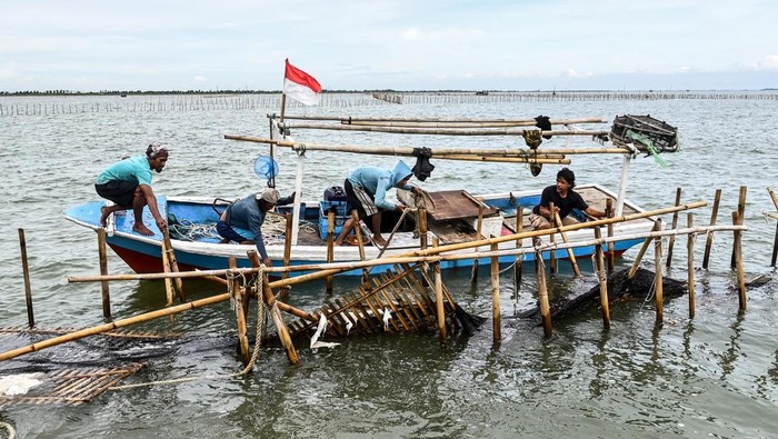 Potret Pagar Laut Misterius di Tangerang Akhirnya Dibongkar Sejumlah nelayan membongkar pagar laut yang terpasang di kawasan pesisir Tanjung Pasir, Kabupaten Tangerang, Banten, Sabtu (18/1/2025). Sebanyak 600 personel TNI AL dan para nelayan Tanjung Pasir membongkar pagar laut tanpa izin dengan target penyelesaian selama 10 hari dengan jarak sepanjang 30,16 km. ANTARA FOTO/Rivan Awal Lingga/YU