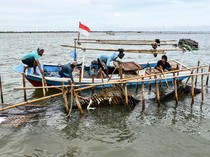 Trenggono Perintahkan Pagar Laut Dibongkar Tunggu Waktu 2 x 24 Jam!