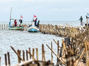Video: Polairud Tunda Pembongkaran Pagar Laut di Tangerang Gegara Cuaca Buruk
