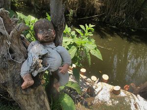 Penampakan Horor Pulau Boneka di Meksiko, Menyeramkan tapi Bikin Penasaran