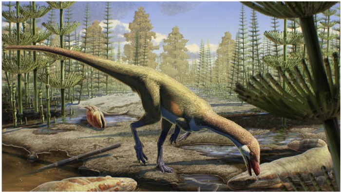 Ahvaytum bahndooiveche, dinosaurus seukuran ayam (Gabriel Ugueto via Mental Floss)