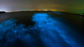Milky sea phenomenon adalah fenomena dimana laut menyala di malam hari karena keluarga plankton berpendar yang disebut Dinoflagellata. Misterinya adalah ilmuwan masih belum yakin bagaimana dan kenapa organisme ini berkumpul dalam jumlah sangat banyak. Foto: Shutterstock/Readers Digest  