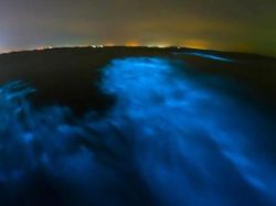 Kumpulan Foto Misteri Lautan yang Bikin Ilmuwan Penasaran