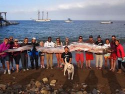 Kumpulan Foto Misteri Lautan yang Bikin Ilmuwan Penasaran