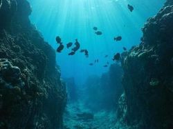 Kumpulan Foto Misteri Lautan yang Bikin Ilmuwan Penasaran