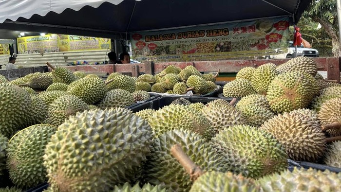 Penjual Ini Dipuji Karena Tidak Getok Harga Durian ke Turis