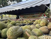 Penjual Ini Dipuji Karena Tidak Getok Harga Durian ke Turis