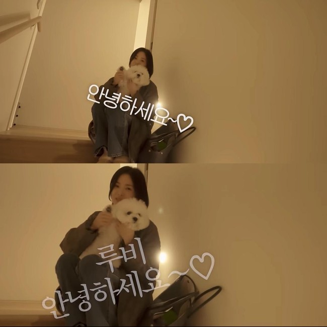 10 Foto Rumah Minimalis Song Hye Kyo Dihuni Bersama Anjing Peliharaan