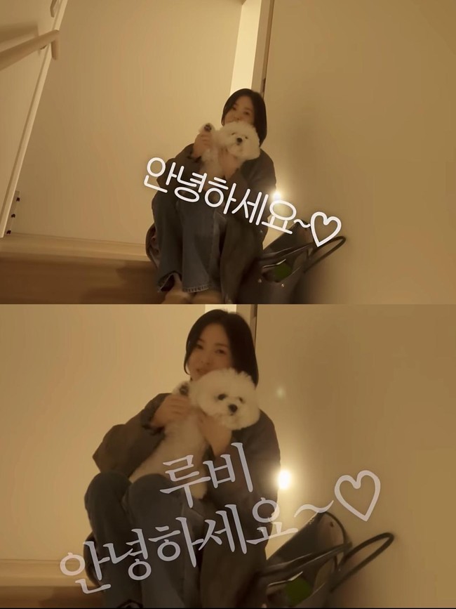 10 Foto Rumah Minimalis Song Hye Kyo Dihuni Bersama Anjing Peliharaan 10 Foto Rumah Minimalis Song Hye Kyo Dihuni Bersama Anjing Peliharaan