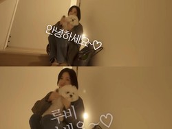 10 Foto Rumah Minimalis Song Hye Kyo Dihuni Bersama Anjing Peliharaan