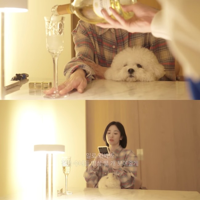 Untuk menutup malam, kedua sahabat Song Hye Kyo dan Kang Min Kyung menikmati segelas wine. Ditemani Ruby, yang setia duduk di pangkuan sang aktris. Foto: dok. YouTube @iammingki