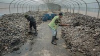 Siasat lainnya yakni aktivasi Tempat Pengolahan Sampah Terpadu (TPST) Sentiong di Cipageran. TPST ini mampu mengolah 10 hingga 50 ton sampah per hari secara terpadu menggunakan metode magotisasi serta diolah menjadi bahan bakar alternatif Refuse-Derived Fuel (RDF).