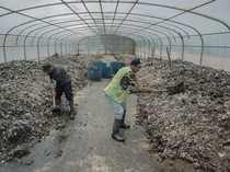 Warga Cimahi! Pengangkutan Sampah Libur 21-27 April 2025