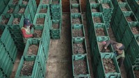 Ada pula TPST Lebak Saat yang berlokasi di sebelah utara Kota Cimahi. TPST ini mampu mengolah dua hingga sembilan ton sampah organik per hari secara terpadu menggunakan metode magotisasi dan diolah menjadi pupuk kompos.