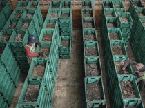 Siasat Cimahi Jadi Kota Tanpa TPA