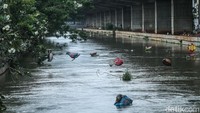 Hiasan dengan bentuk hewan-hewan lucu ini tampak rusak.