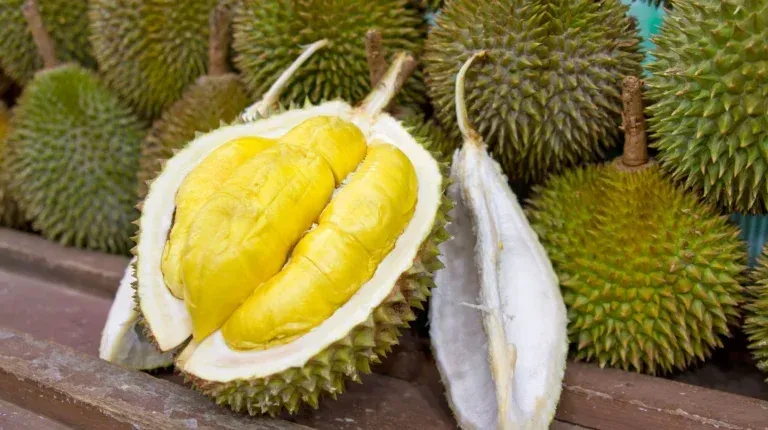 Gerai Ini Jual Durian Mao Shan Wang Pakai Mesin Otomatis