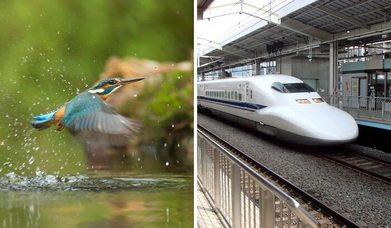 Inovasi Manusia Meniru Alam