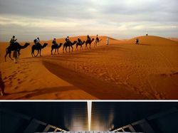 Ternyata Inovasi Buatan Manusia Ini Meniru Alam