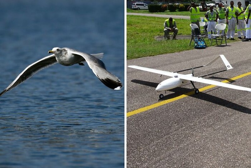 Inovasi Manusia Meniru Alam