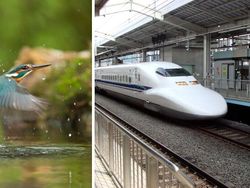 Ternyata Inovasi Buatan Manusia Ini Meniru Alam