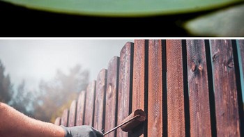 Tanaman teratai dikenal karena keindahan airnya dan sebagai simbol umur panjang dalam beberapa budaya, tetapi Anda mungkin tidak tahu bahwa tanaman ini juga superhidrofobik. Permukaan daun tanaman teratai menolak kotoran dan air dengan sangat baik sehingga kualitas pembersihan diri ini dijuluki efek teratai pada tahun 1977. Pada tahun 1999, perusahaan bangunan Jerman Sto merilis cat luar ruangan yang disebut Lotusan. Saat kering, tekstur mikro cat tersebut meniru permukaan daun teratai untuk mengusir kelembapan dan kotoran dari bagian luar. Foto: Boredpanda