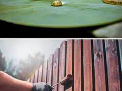 Ternyata Inovasi Buatan Manusia Ini Meniru Alam