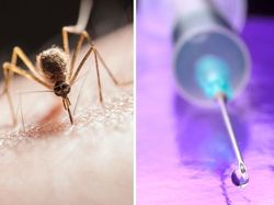 Ternyata Inovasi Buatan Manusia Ini Meniru Alam