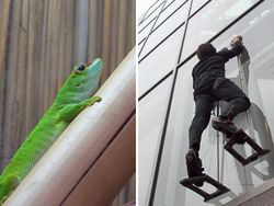 Ternyata Inovasi Buatan Manusia Ini Meniru Alam