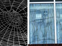 Ternyata Inovasi Buatan Manusia Ini Meniru Alam