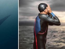 Ternyata Inovasi Buatan Manusia Ini Meniru Alam