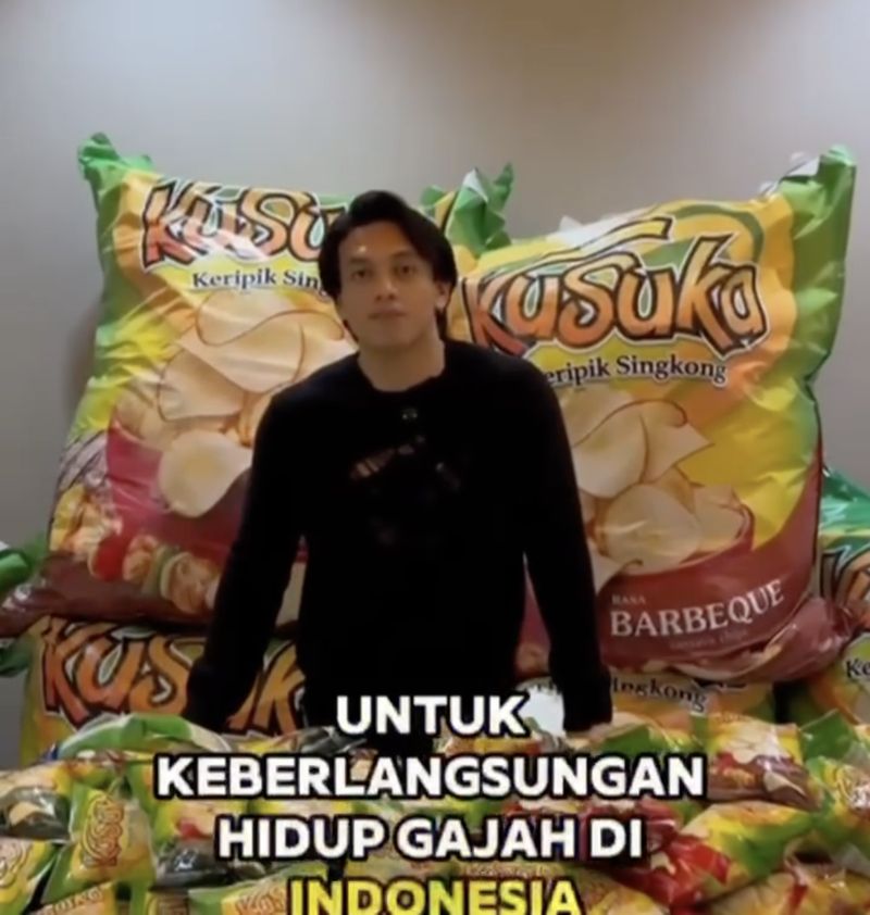 Jefri Nichol Lelang Kusuka Monster Pack untuk Selamatkan Gajah Indonesia