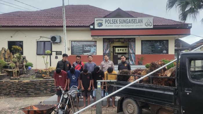 Kelima pelaku pencuri kelapa sawit dan barang bukti saat diamankan polisi.