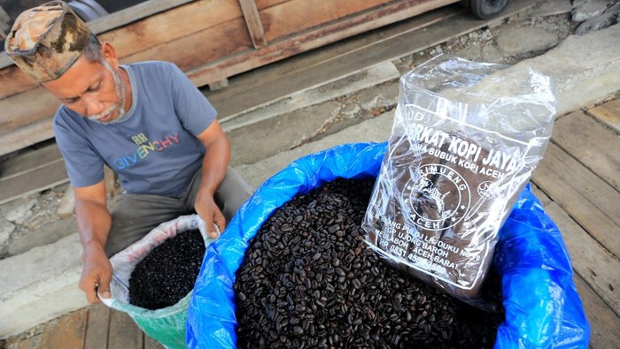 Kopi Robusta Aceh Tembus Rp 120.000/Kg Pekerja menunjukkan biji kopi robusta setelah proses penyangraian di salah satu tempat produksi UD Berkat Kopi Jaya Desa Ujong Baroh, Johan Pahlawan, Aceh Barat, Aceh, Senin (20/1/2025). Dalam sehari pelaku usaha mampu memproduksi bubuk kopi secara tradisional sebanyak 120 hingga 220 kilogram atau 5.720 kilogram per bulan yang kemudian dipasarkan ke sejumlah daerah di Aceh dan Sumatera Utara dengan harga jual berkisar antara Rp40.000 hingga Rp120.000 per kilogram tergantung kualitas biji kopi. ANTARA FOTO/Syifa Yulinnas/YU